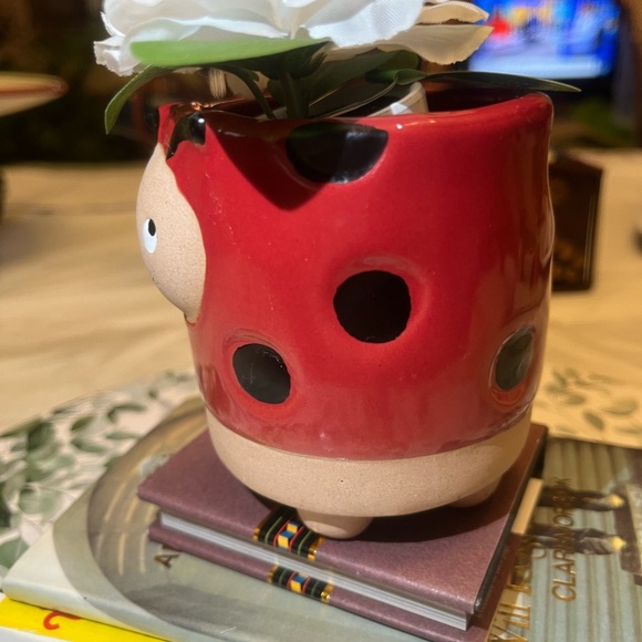 Ladybug Pot - Picture 2 of 11